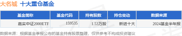 10月9日大名城跌9.93%，嘉实中证2000ETF基金重仓该股