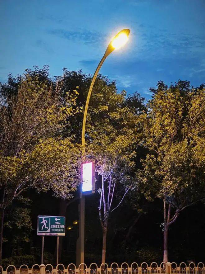 网友：竟被天津路灯杆“圈粉”了！建议全国推广！