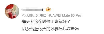 “合肥好大的风！” 安徽经历今冬罕见“冰日”
