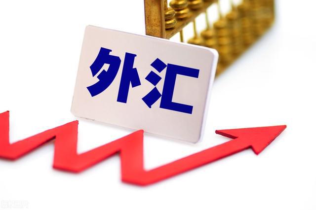 外汇和外币(外汇和外币的区别是什么)
