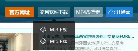 下载外汇交易软件(下载外汇交易软件下载)
