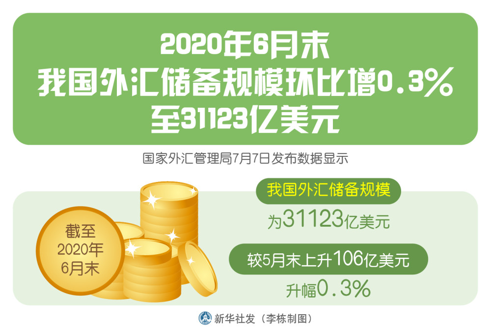 外汇储备的来源(外汇储备来源对汇率货币政策的影响)
