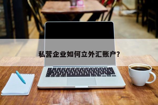外汇私人账户(外汇私人账户与外汇公司的关系)
