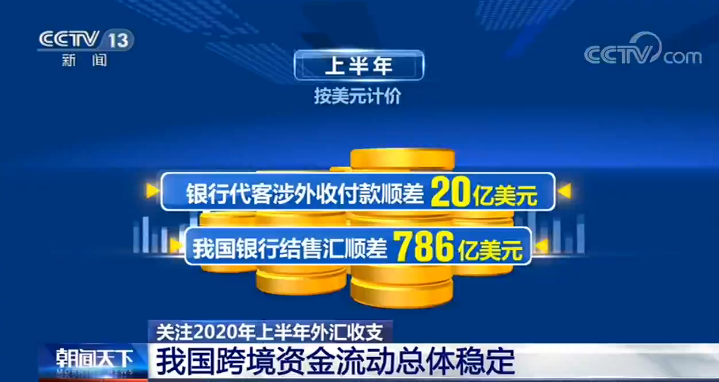 外汇资金是什么(外汇资金是什么意思)
