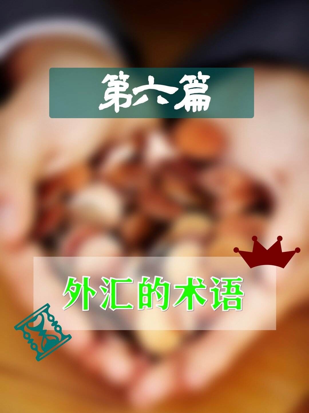 外汇交易术语(外汇交易术语解释)