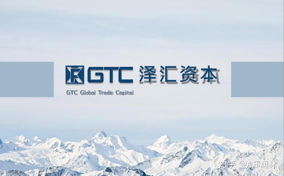 证券公司外汇(证券公司外汇黄金分析师工作内容)
