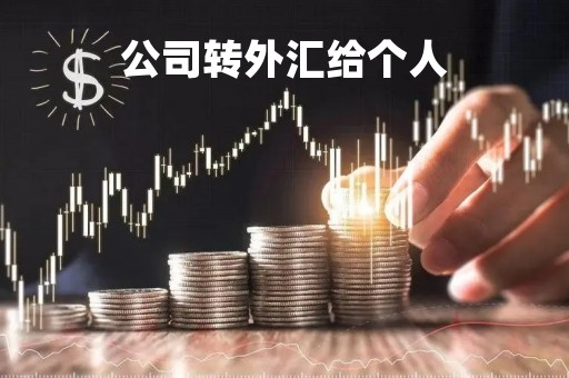 外汇开公司(外汇公司怎么开)
