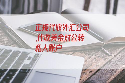 外汇开公司(开设外汇公司)