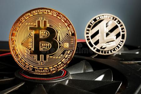 coincoin币币网(币coinapp官方网站)