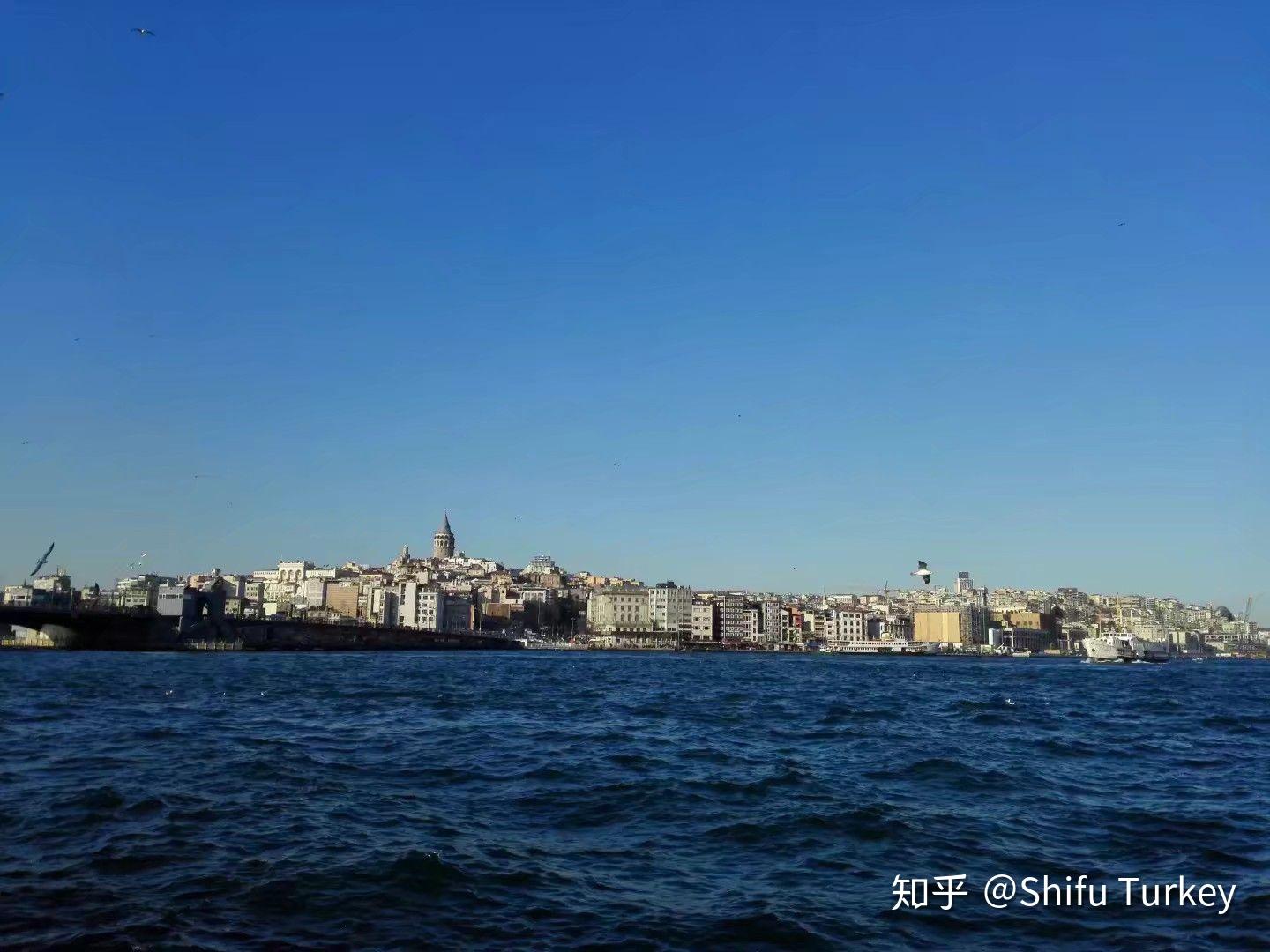 币乎怎么样(知乎币可以用来干嘛)