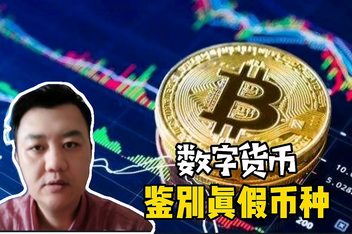 数字币有哪些币种(数字货币有哪些币种)