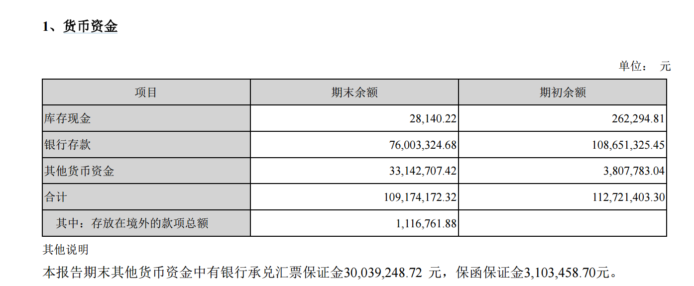 其他货币资金保证金(其他货币资金保证金存款明细账图片)