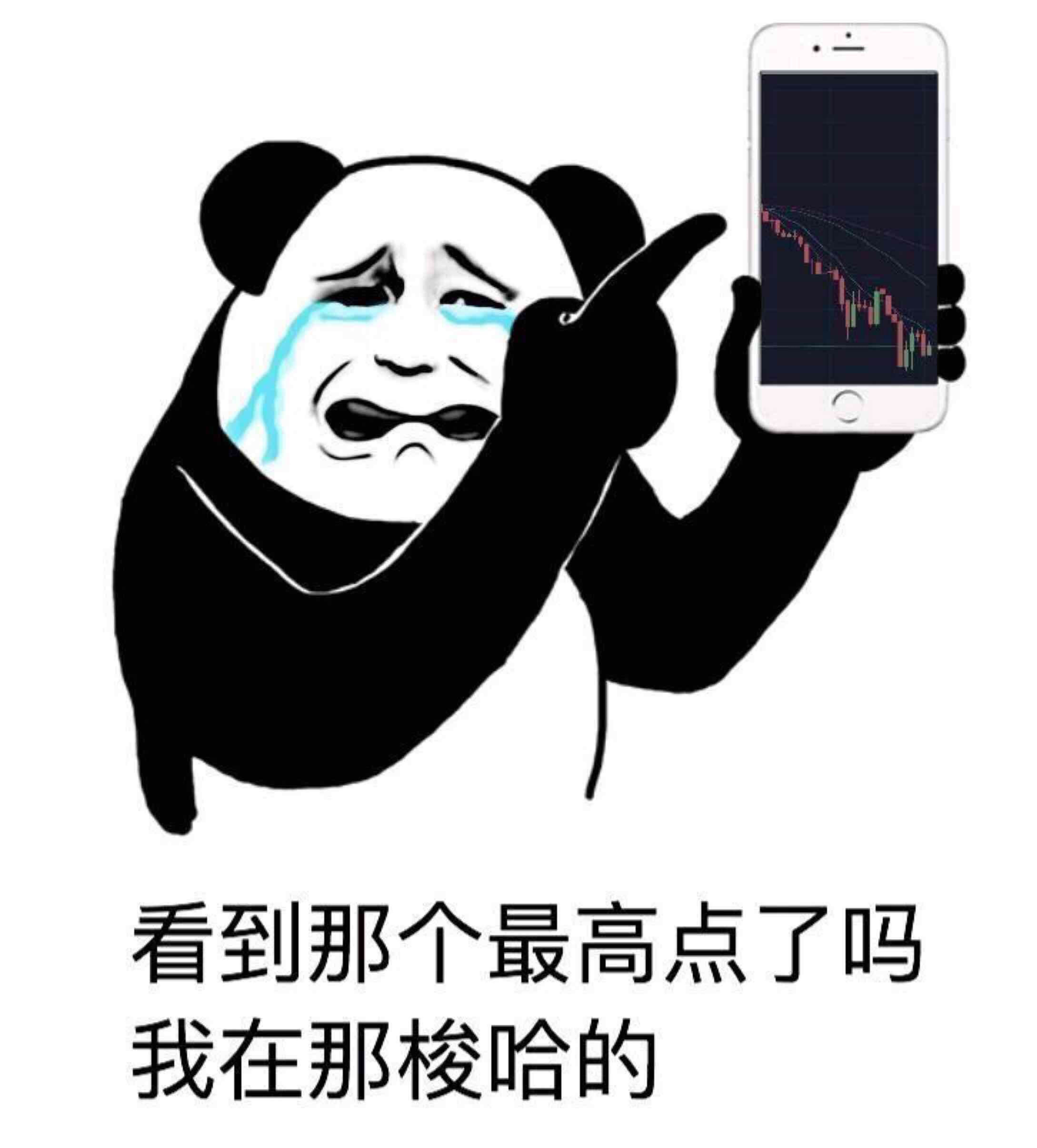 炒币亏得倾家荡产(炒币亏了几十万,倾家荡产)
